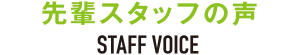 先輩スタッフの声
